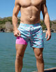 CHUBBIES Lined Classic Mens 5.5'' Swim Trunks image number 2