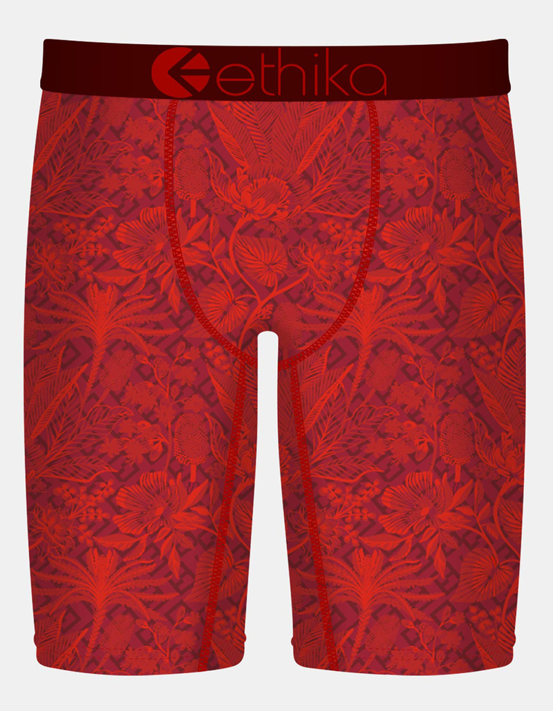 ETHIKA Cardinal Staple Boys Boxer Briefs image number 0