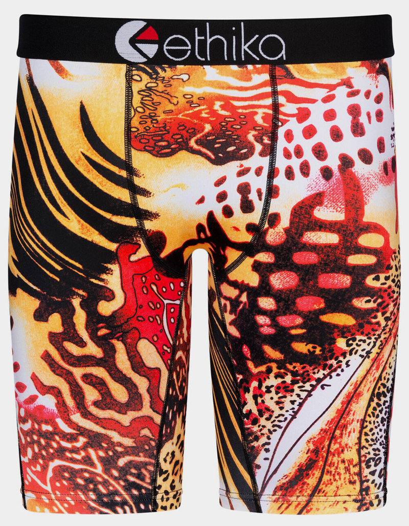 ETHIKA Foundation Mens Boxer Briefs image number 0