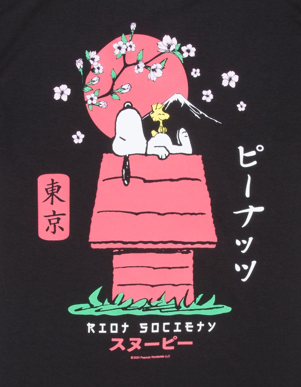 RIOT SOCIETY x Peanuts Snoopy Doghouse Japan Boys Tee