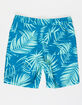 BLUE CROWN Fronds Boys 16.5'' Boardshorts image number 2