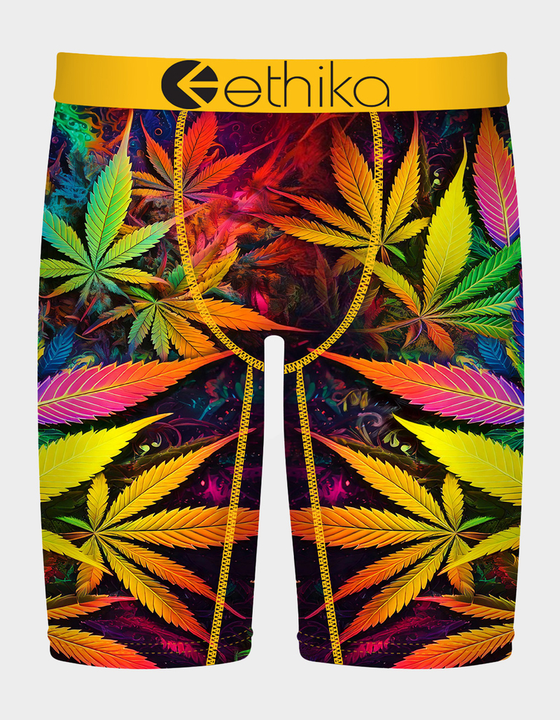 ETHIKA Cotton Mouth Staple Mens Boxer Briefs image number 0