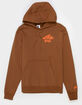 NIKE Novelty Mens Hoodie image number 2