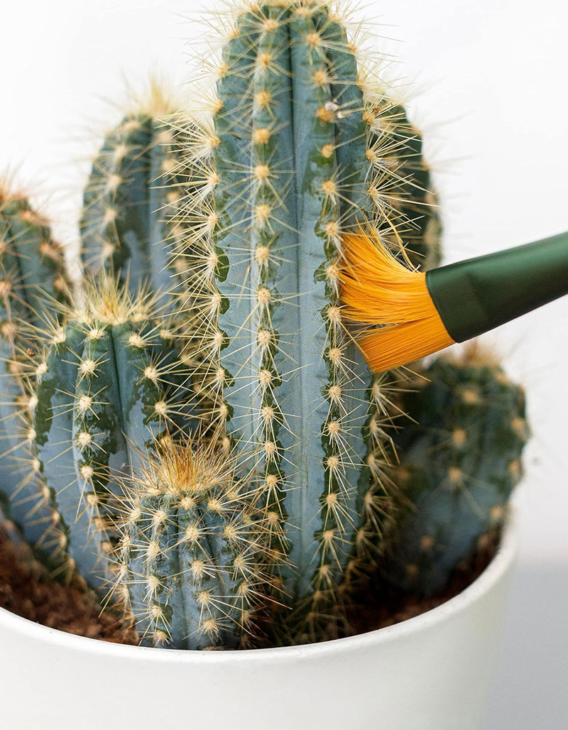 Mini Cactus Cleaners 3 Pack image number 2