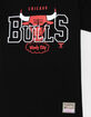 MITCHELL & NESS Chicago Bulls See Thru Mens Tee image number 2