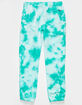 VOLCOM Iconic Stone Boys Sweatpants image number 2