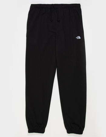 THE NORTH FACE Evolution Simple Dome Mens Sweatpants Primary Image