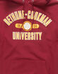 CHAMPION Bethune-Cookman University Mens Hoodie image number 2