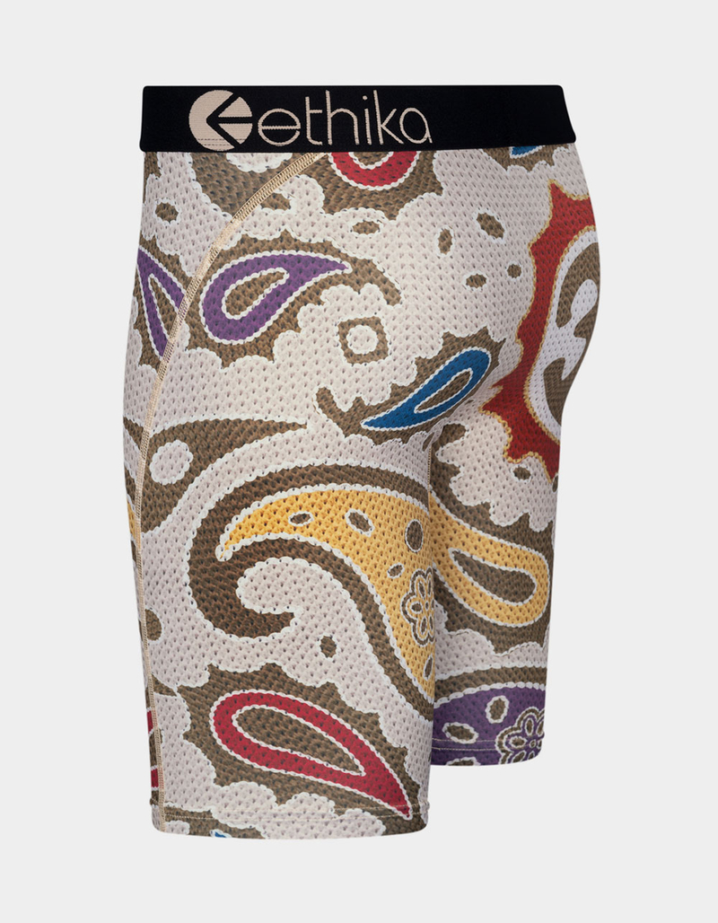 ETHIKA E Paisley Staple Boys Boxer Briefs image number 1