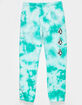 VOLCOM Iconic Stone Boys Sweatpants image number 1
