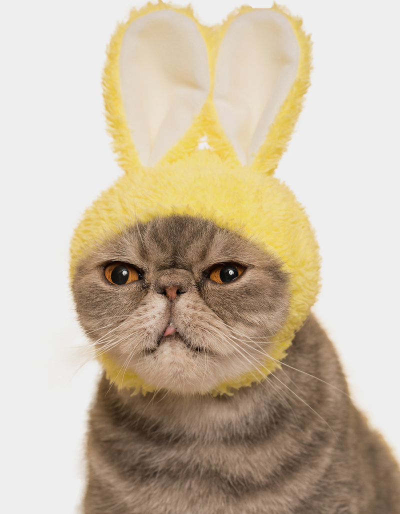 Cat Cap Blind Box - Rabbit image number 3