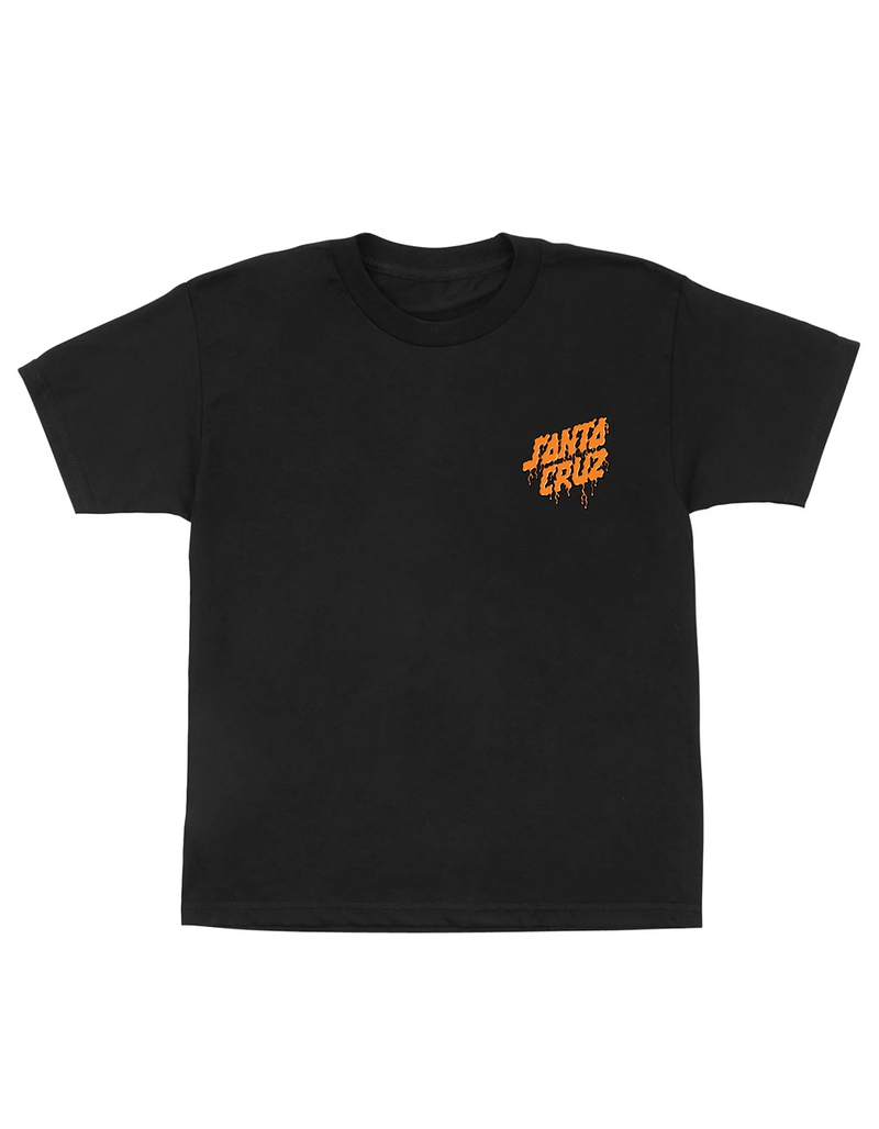SANTA CRUZ Delfino Spotlight Dot Boys Tee image number 2