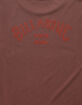 BILLABONG Wave Washed Arch Wave Mens Tee image number 3