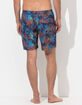 BANKS JOURNAL Sundays Mens Boardshorts image number 6