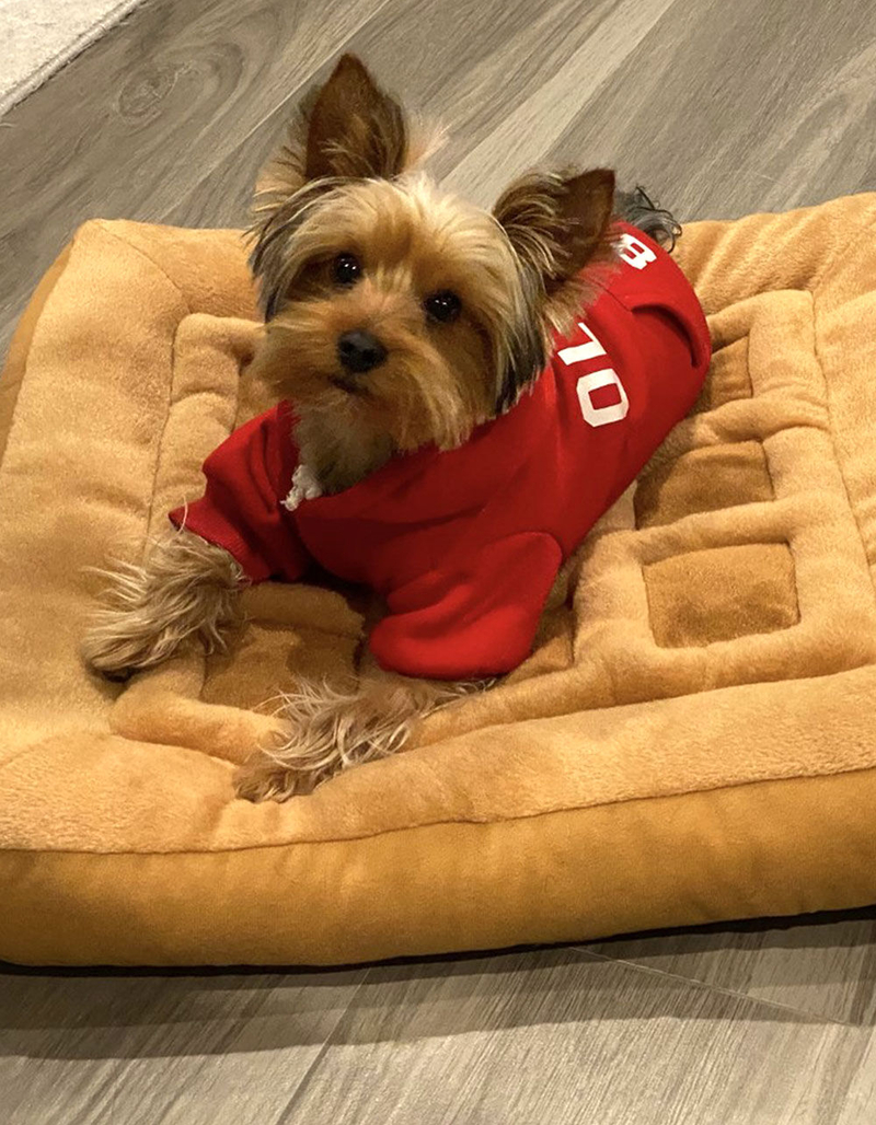 TONBO Chicken & Waffles Pet Bed and Toy image number 3