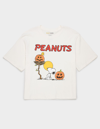 RSQ x Peanuts Pumpkins Mens Tee Primary Image