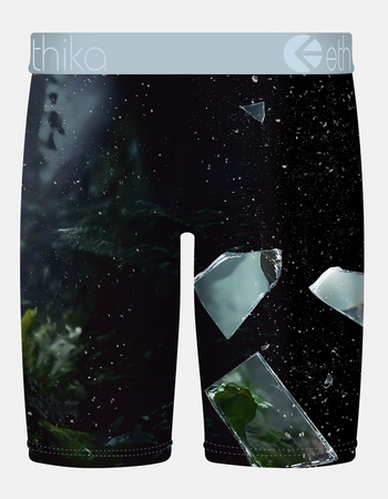 ETHIKA Shatter Cat Staple Boys Boxer Briefs Alternative Image