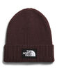 THE NORTH FACE Big Box Beanie image number 1