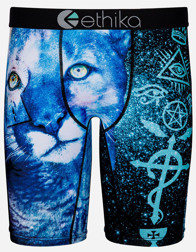 ETHIKA Mystik Puma Staple Mens Boxer Briefs image number 0