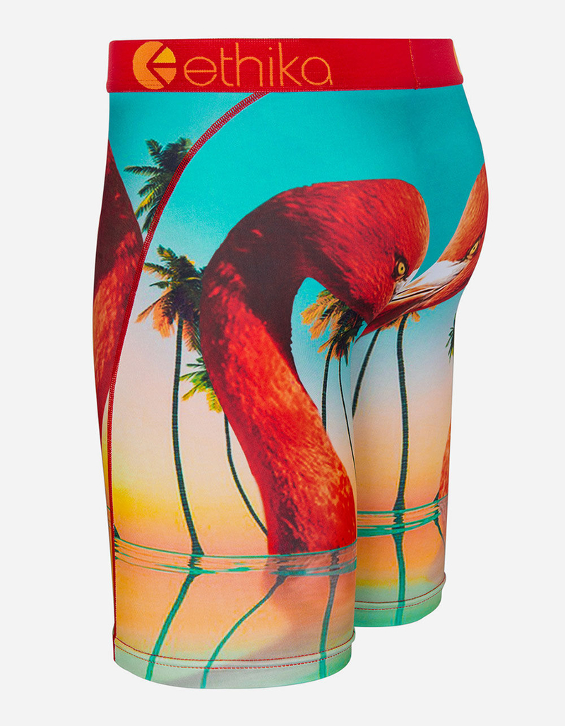 ETHIKA Flamingo Island Staple Boys Boxer Briefs image number 1