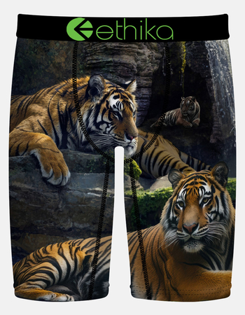 ETHIKA Lurking Staple Mens Boxer Briefs Primary Image