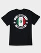 MEXICO Soccer Flag Unisex Tee image number 1