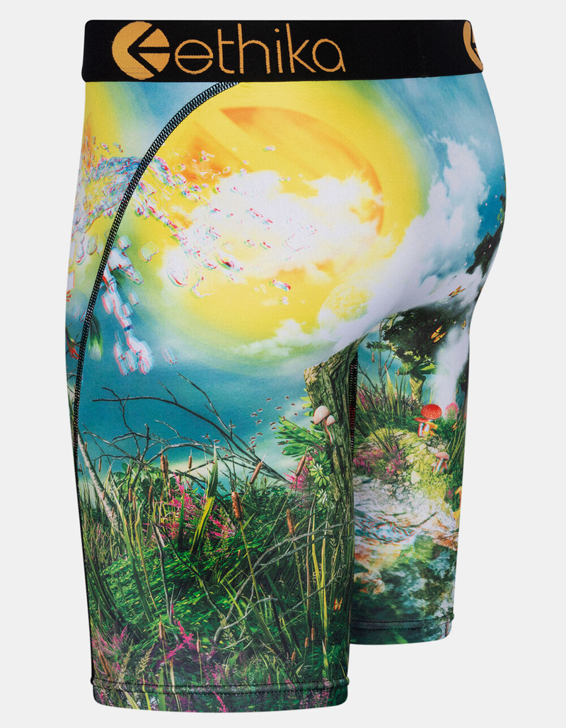 ETHIKA Life's A Trip 3D Mens Boxer Briefs image number 1