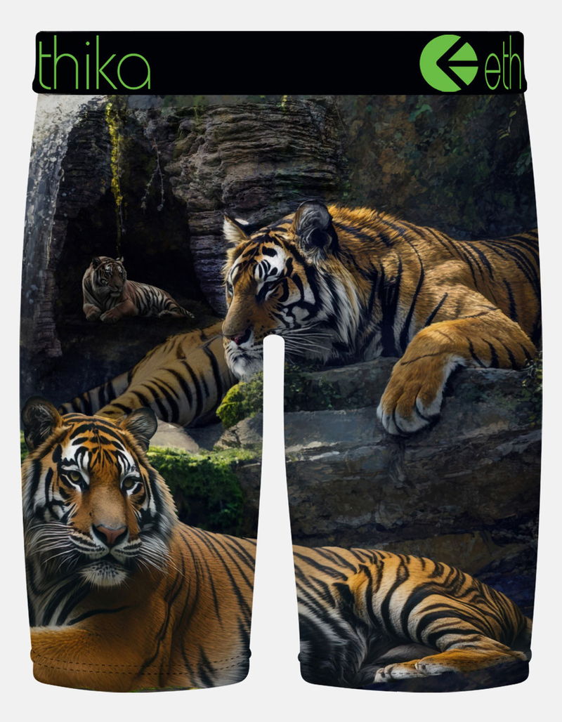 ETHIKA Lurking Staple Mens Boxer Briefs image number 1