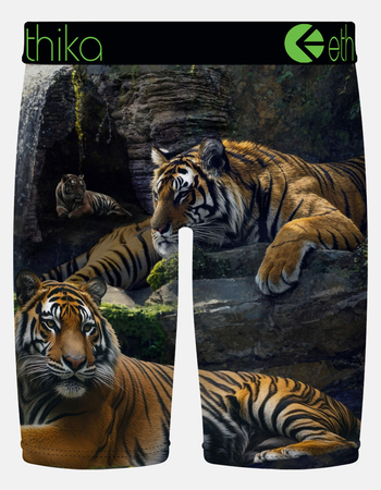 ETHIKA Lurking Staple Mens Boxer Briefs Alternative Image