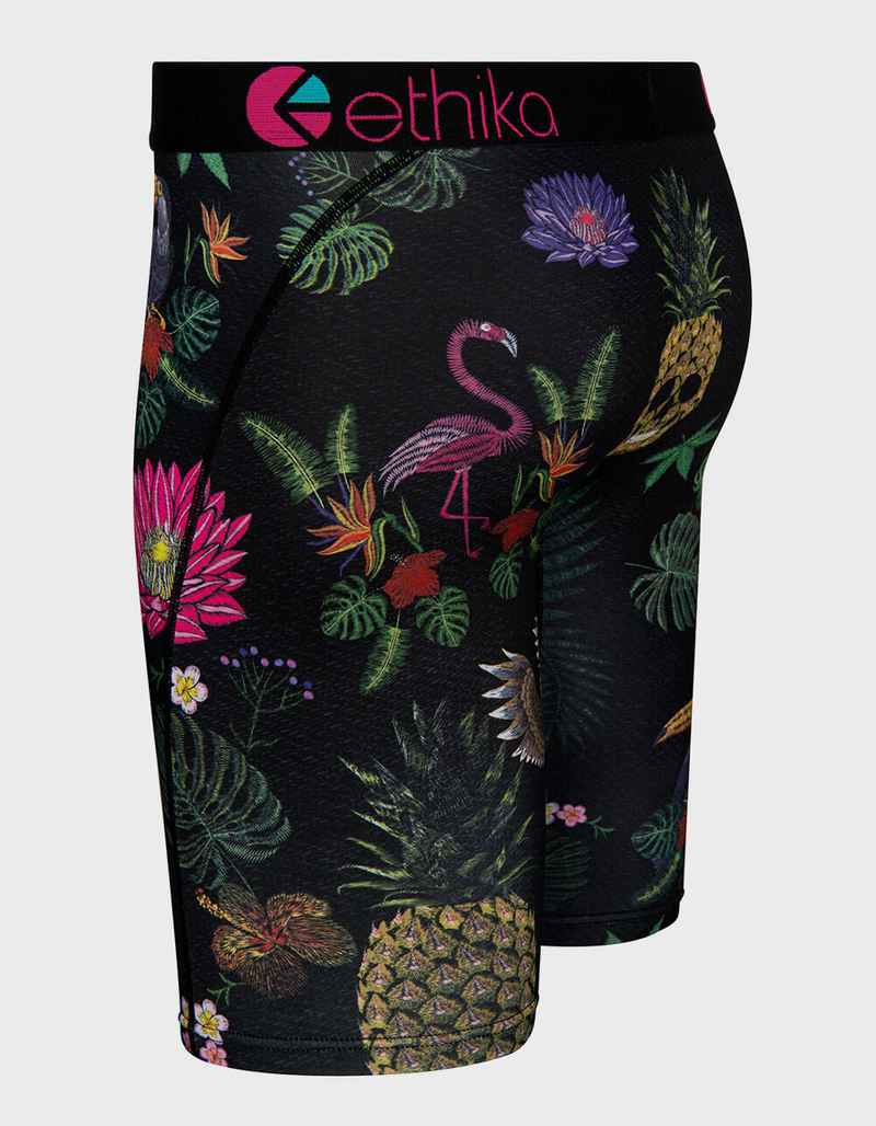 ETHIKA Fineapple Boys Boxer Briefs image number 1