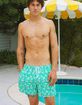 DIPPIN' DAISY'S Ken Mens Swim Shorts image number 1