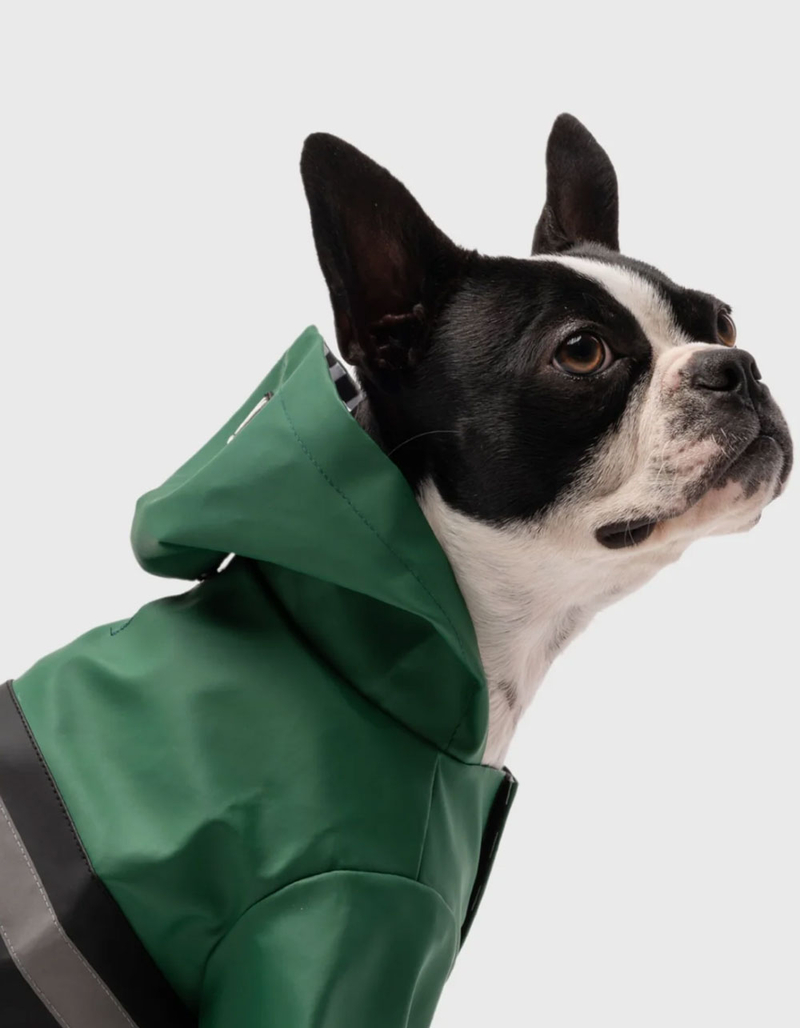 SILVER PAW Aden Dog Raincoat GREEN COMBO Tillys