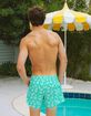 DIPPIN' DAISY'S Ken Mens Swim Shorts image number 3