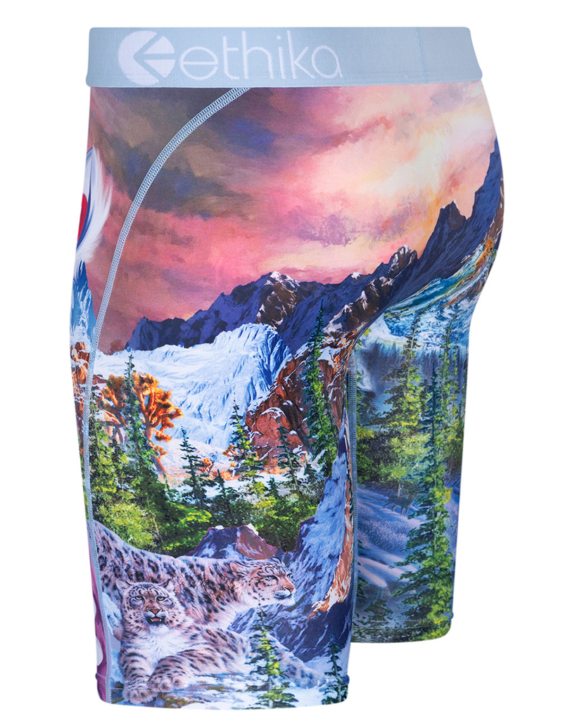 ETHIKA Bomber Abominable Staple Boys Boxer Briefs image number 1