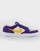 NIKE SB Force 58 Mens Shoes image number 1