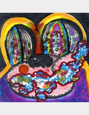 CAGE THE ELEPHANT Thank You, Happy Birthday LP Primary Image