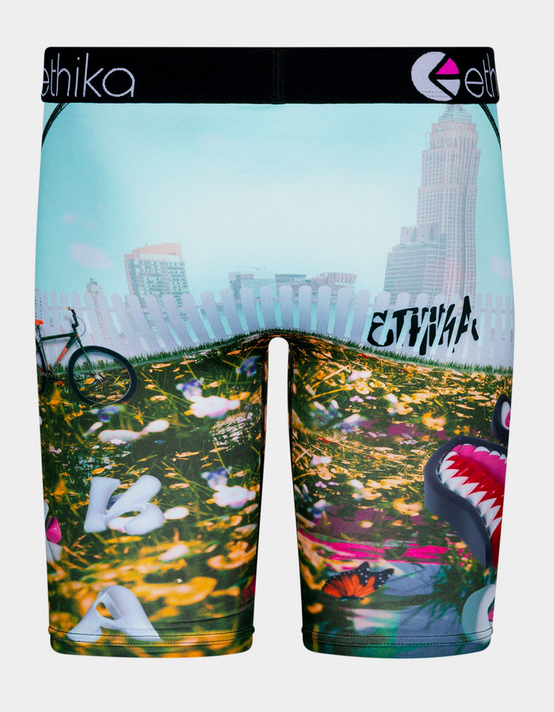 ETHIKA Bomber 3 Dreamin Staple Boys Boxer Briefs image number 2