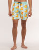 NEFF Ducky Glacier Volley Shorts image number 5