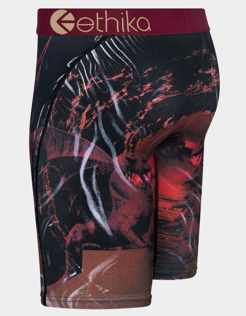 ETHIKA Dark Paradise Staple Mens Boxer Briefs image number 1