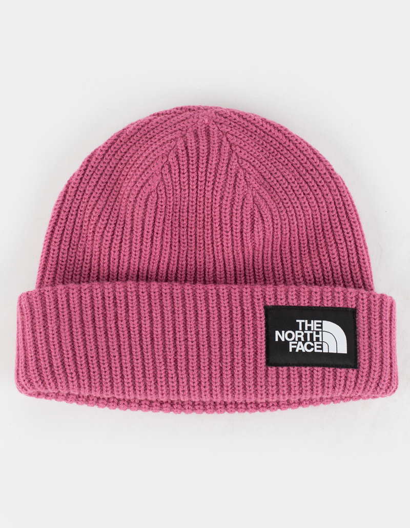 THE NORTH FACE Salty Dog Beanie image number 0