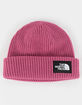 THE NORTH FACE Salty Dog Beanie image number 1