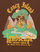 CONEY ISLAND PICNIC Landscape Mens Tee image number 3