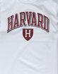 CHAMPION Harvard University White Mens T-Shirt image number 2