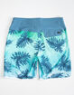 RIP CURL Mirage Seven Mile Mens Boardshorts image number 2
