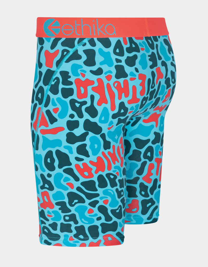 ETHIKA Electric Apex Staple Boys Boxer Briefs image number 1