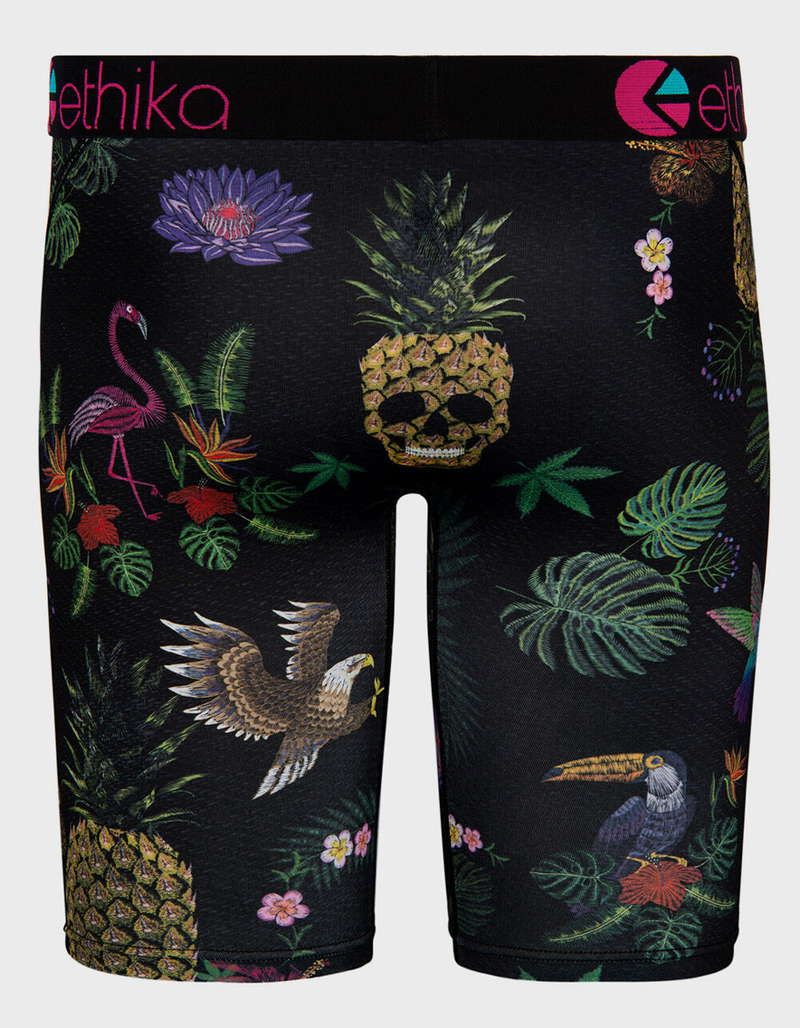 ETHIKA Fineapple Boys Boxer Briefs image number 2