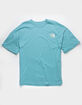 THE NORTH FACE Mountain Mens Tee image number 2