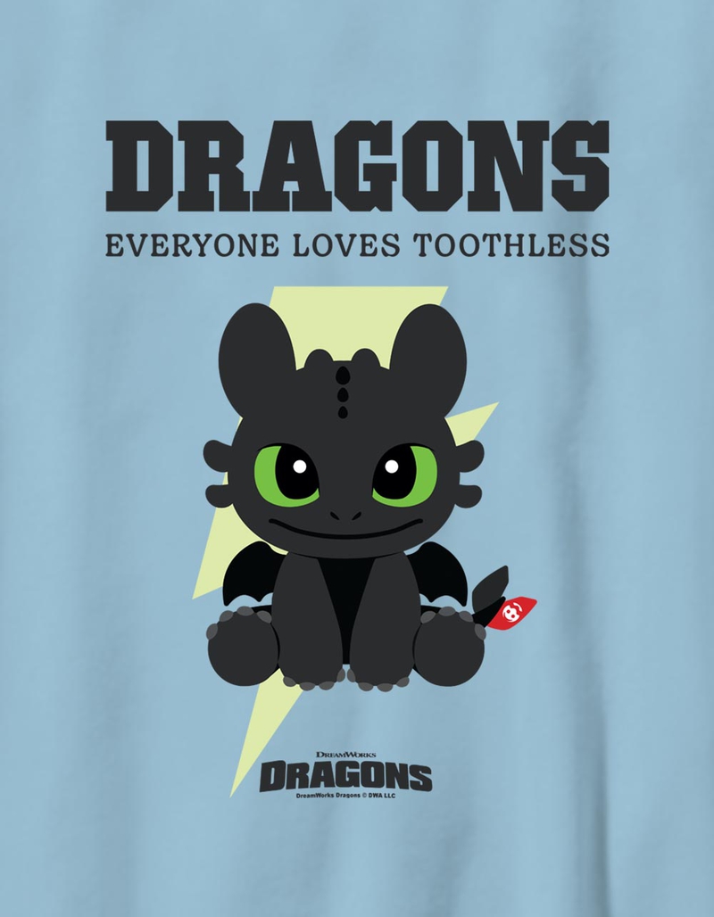 HOW TO TRAIN YOUR DRAGON Everyone Loves Toothless Unisex Kids Tee image number 1