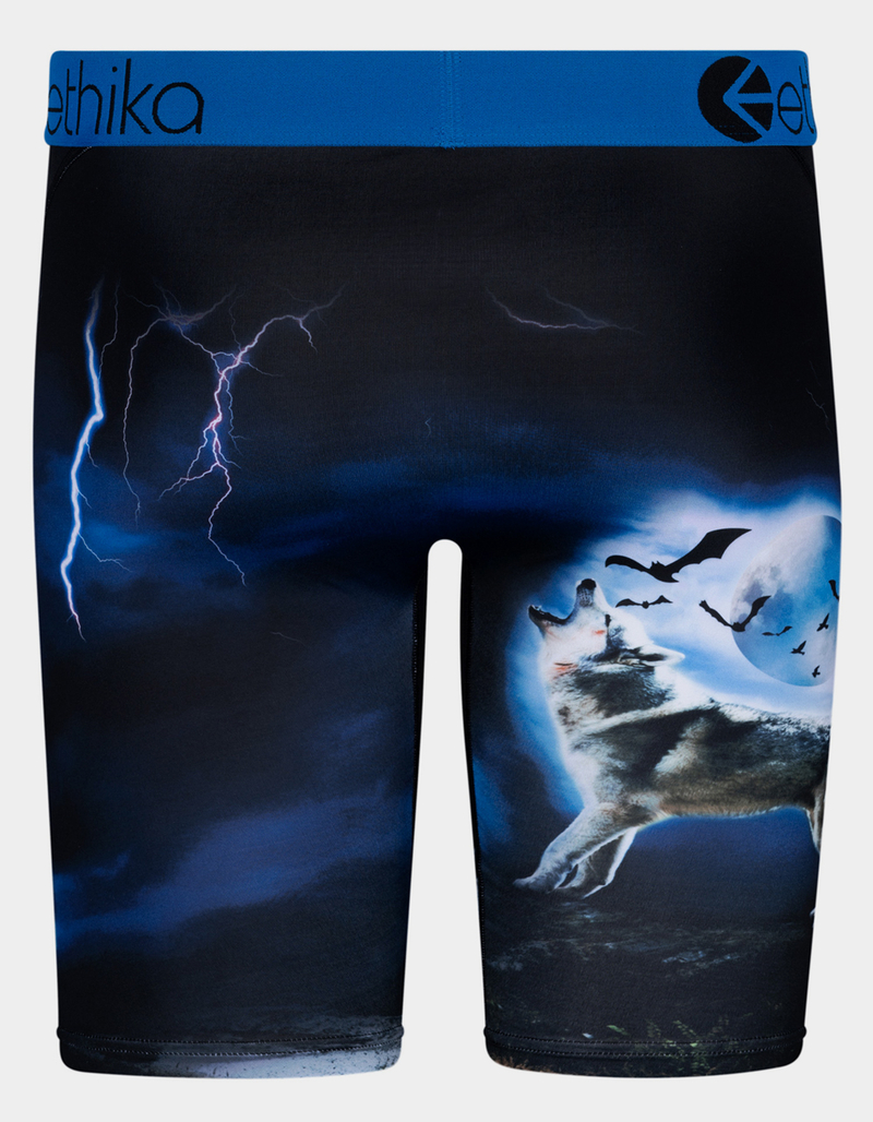ETHIKA Pack You Out Staple Mens Boxer Briefs image number 2