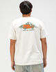 THE NORTH FACE Outdoor Mens Tee image number 4